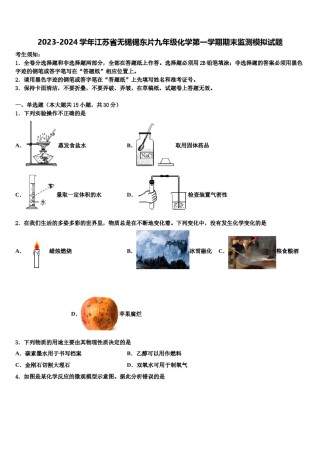 2023-2024学年江苏省无锡锡东片九年级化学第一学期期末监测模拟试题含解析.doc