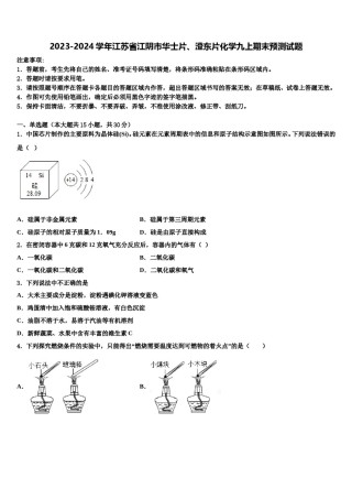2023-2024学年江苏省江阴市华士片、澄东片化学九上期末预测试题含解析.doc