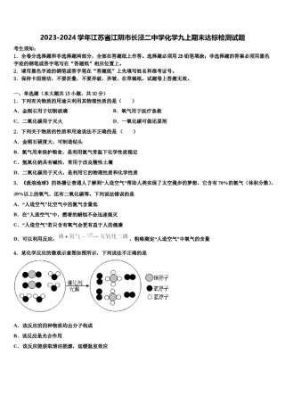 2023-2024学年江苏省江阴市长泾二中学化学九上期末达标检测试题含解析.doc