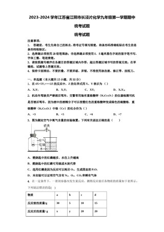 2023-2024学年江苏省江阴市长泾片化学九年级第一学期期中统考试题含解析.doc