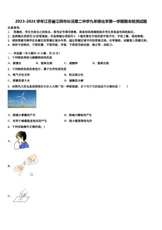 2023-2024学年江苏省江阴市长泾第二中学九年级化学第一学期期末检测试题含解析.doc