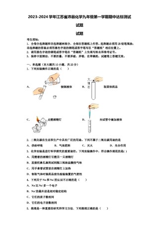 2023-2024学年江苏省沛县化学九年级第一学期期中达标测试试题含解析.doc