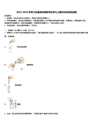 2023-2024学年江苏省泗洪县联考化学九上期末综合测试试题含解析.doc