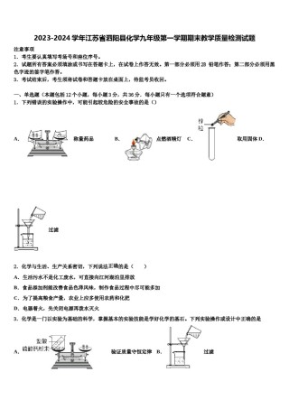 2023-2024学年江苏省泗阳县化学九年级第一学期期末教学质量检测试题含解析.doc