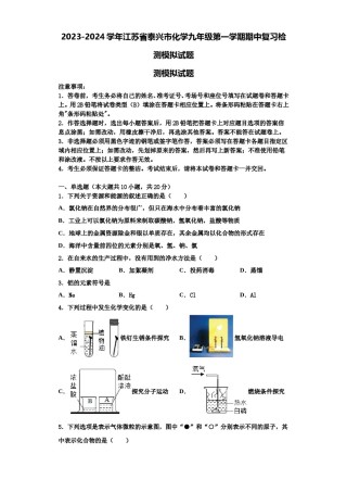 2023-2024学年江苏省泰兴市化学九年级第一学期期中复习检测模拟试题含解析.doc