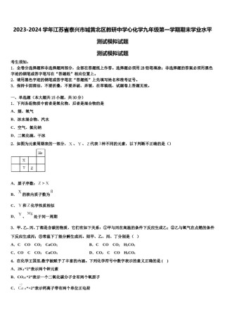 2023-2024学年江苏省泰兴市城黄北区教研中学心化学九年级第一学期期末学业水平测试模拟试题含解析.doc