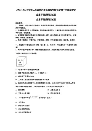 2023-2024学年江苏省泰兴市实验九年级化学第一学期期中学业水平测试模拟试题含解析.doc