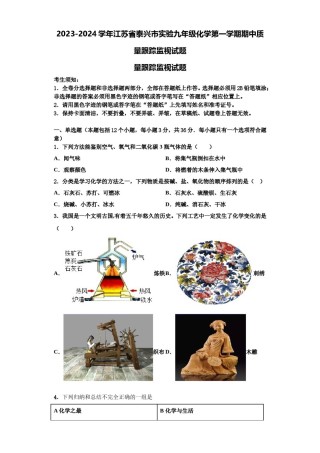 2023-2024学年江苏省泰兴市实验九年级化学第一学期期中质量跟踪监视试题含解析.doc