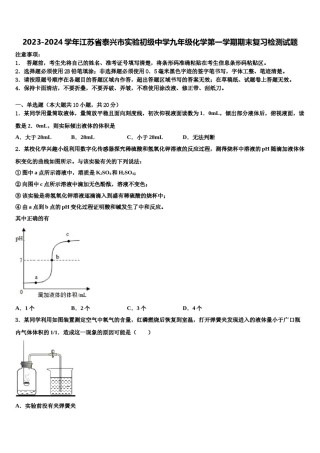 2023-2024学年江苏省泰兴市实验初级中学九年级化学第一学期期末复习检测试题含解析.doc