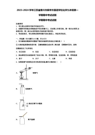2023-2024学年江苏省泰兴市振宇外国语学校化学九年级第一学期期中考试试题含解析.doc