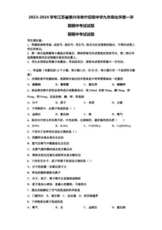 2023-2024学年江苏省泰兴市老叶初级中学九年级化学第一学期期中考试试题含解析.doc