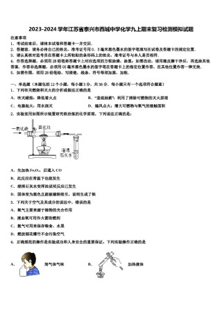 2023-2024学年江苏省泰兴市西城中学化学九上期末复习检测模拟试题含解析.doc