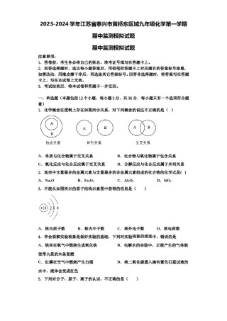 2023-2024学年江苏省泰兴市黄桥东区域九年级化学第一学期期中监测模拟试题含解析.doc
