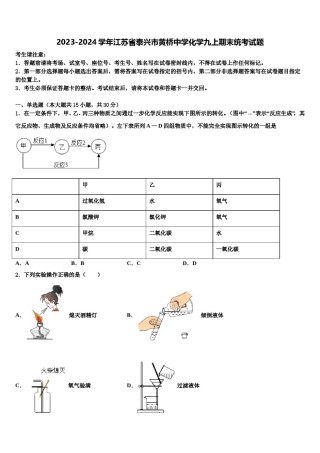 2023-2024学年江苏省泰兴市黄桥中学化学九上期末统考试题含解析.doc