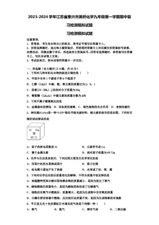 2023-2024学年江苏省泰兴市黄桥化学九年级第一学期期中复习检测模拟试题含解析.doc
