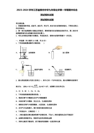 2023-2024学年江苏省泰州中学九年级化学第一学期期中综合测试模拟试题含解析.doc