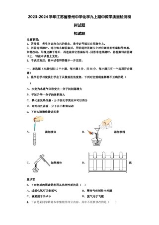 2023-2024学年江苏省泰州中学化学九上期中教学质量检测模拟试题含解析.doc