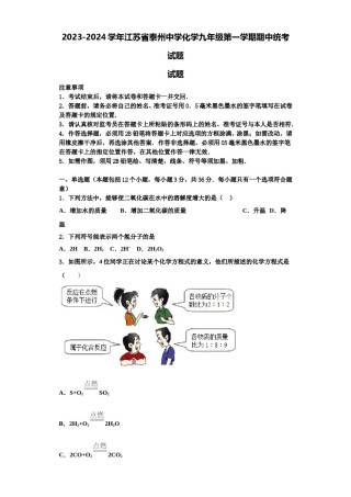 2023-2024学年江苏省泰州中学化学九年级第一学期期中统考试题含解析.doc
