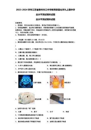 2023-2024学年江苏省泰州市三中学教育联盟化学九上期中学业水平测试模拟试题含解析.doc