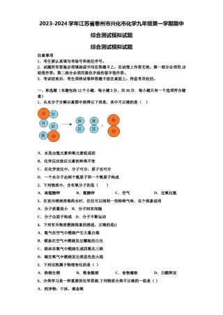 2023-2024学年江苏省泰州市兴化市化学九年级第一学期期中综合测试模拟试题含解析.doc