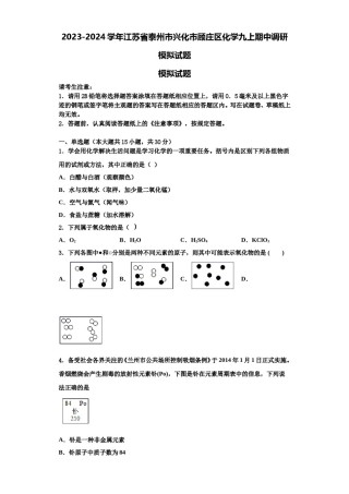 2023-2024学年江苏省泰州市兴化市顾庄区化学九上期中调研模拟试题含解析.doc