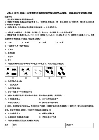 2023-2024学年江苏省泰州市凤凰初级中学化学九年级第一学期期末考试模拟试题含解析.doc