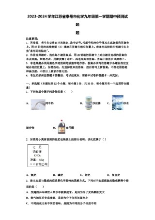 2023-2024学年江苏省泰州市化学九年级第一学期期中预测试题含解析.doc