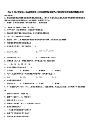 2023-2024学年江苏省泰州市口岸实验学校化学九上期末学业质量监测模拟试题含解析.doc