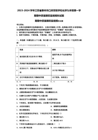 2023-2024学年江苏省泰州市口岸实验学校化学九年级第一学期期中质量跟踪监视模拟试题含解析.doc