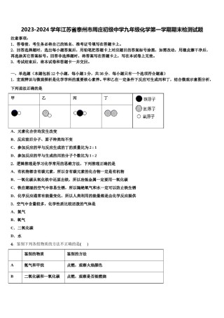 2023-2024学年江苏省泰州市周庄初级中学九年级化学第一学期期末检测试题含解析.doc