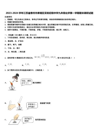 2023-2024学年江苏省泰州市姜堰区实验初级中学九年级化学第一学期期末调研试题含解析.doc