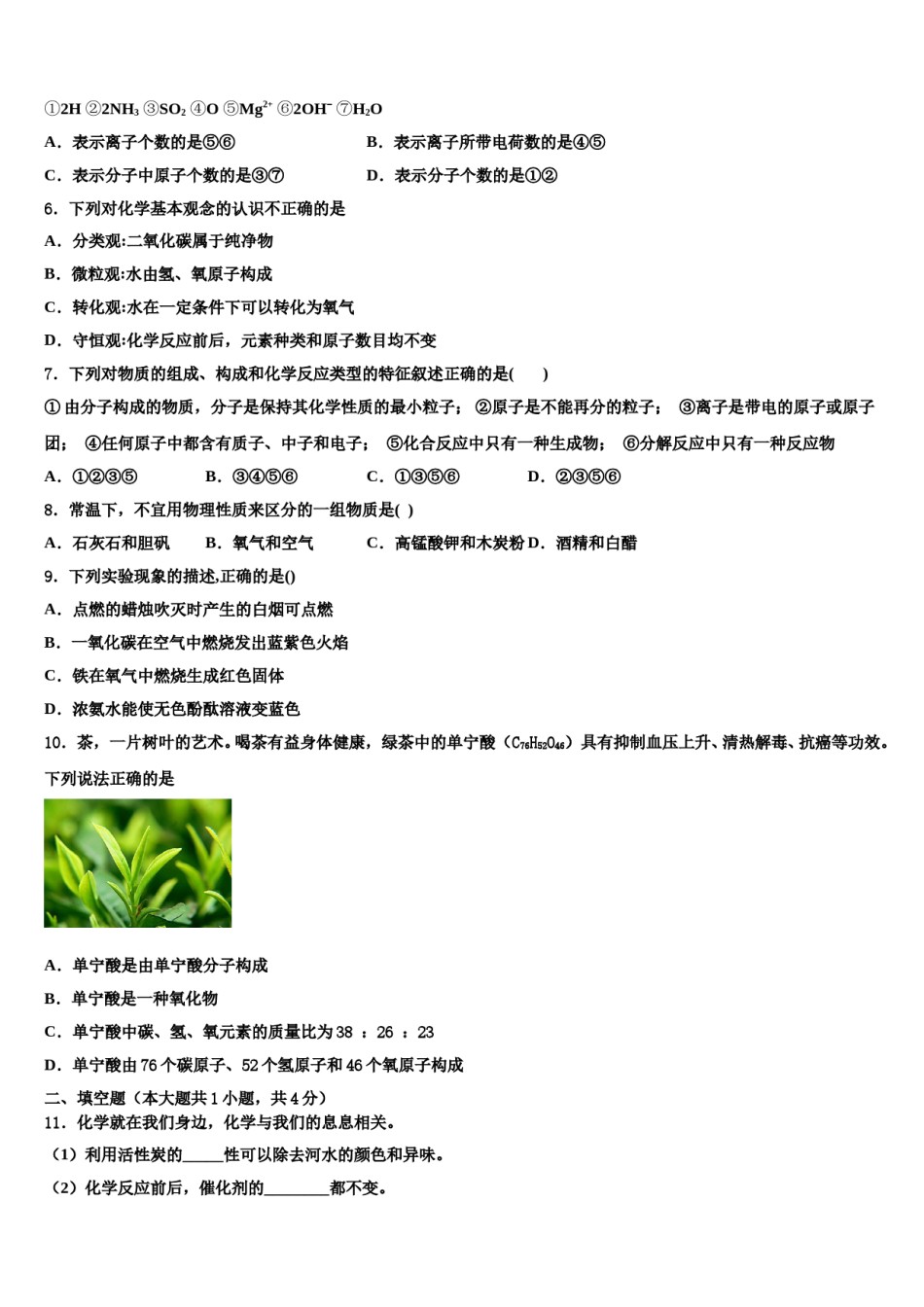 2023-2024学年江苏省泰州市姜堰区张甸初级中学化学九上期末经典试题含解析.doc_第2页