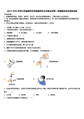 2023-2024学年江苏省泰州市常青藤学校九年级化学第一学期期末综合测试试题含解析.doc