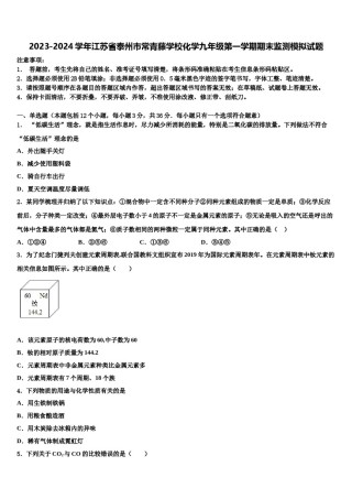 2023-2024学年江苏省泰州市常青藤学校化学九年级第一学期期末监测模拟试题含解析.doc