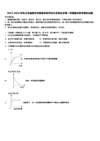 2023-2024学年江苏省泰州市智堡实验学校九年级化学第一学期期末联考模拟试题含解析.doc