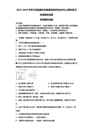 2023-2024学年江苏省泰州市智堡实验学校化学九上期中复习检测模拟试题含解析.doc