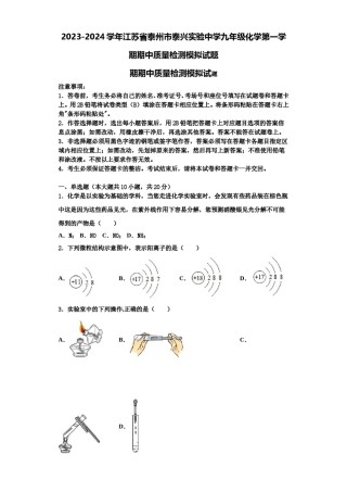2023-2024学年江苏省泰州市泰兴实验中学九年级化学第一学期期中质量检测模拟试题含解析.doc