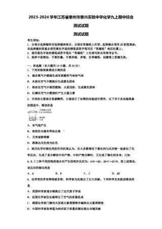 2023-2024学年江苏省泰州市泰兴实验中学化学九上期中综合测试试题含解析.doc