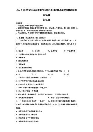 2023-2024学年江苏省泰州市泰兴市化学九上期中综合测试模拟试题含解析.doc