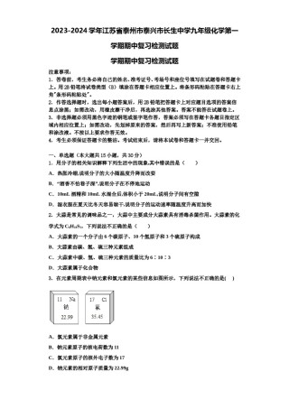 2023-2024学年江苏省泰州市泰兴市长生中学九年级化学第一学期期中复习检测试题含解析.doc