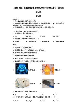 2023-2024学年江苏省泰州市泰兴市长生中学化学九上期中统考试题含解析.doc