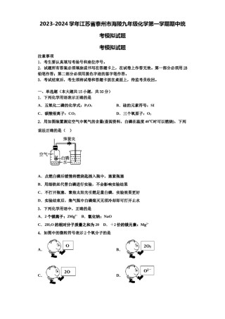 2023-2024学年江苏省泰州市海陵九年级化学第一学期期中统考模拟试题含解析.doc