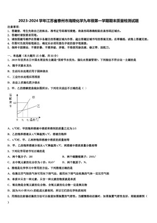 2023-2024学年江苏省泰州市海陵化学九年级第一学期期末质量检测试题含解析.doc