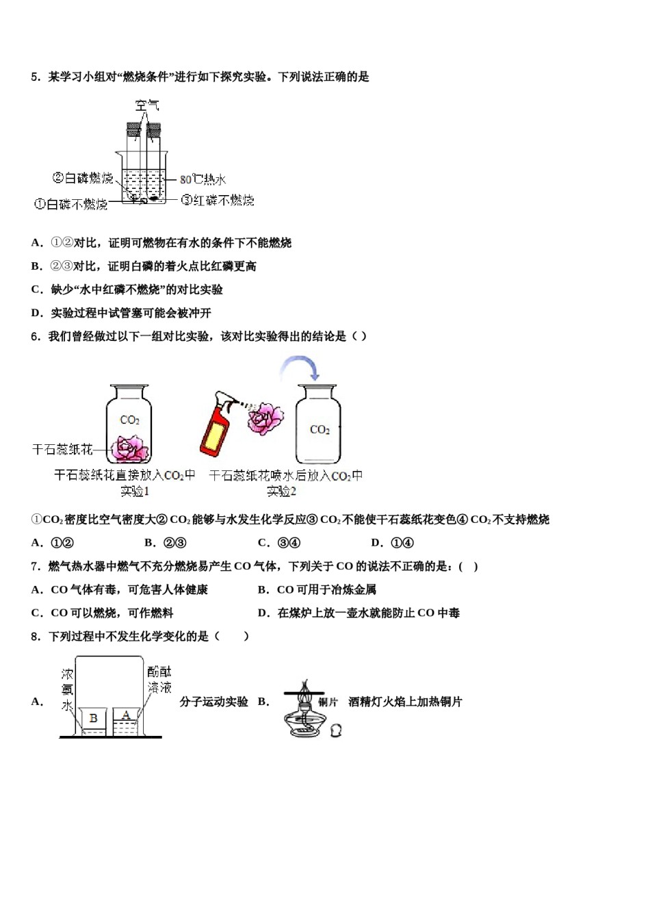 2023-2024学年江苏省泰州市第二中学化学九年级第一学期期末学业质量监测模拟试题含解析.doc_第2页
