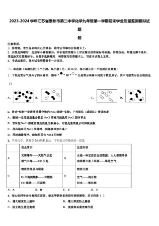 2023-2024学年江苏省泰州市第二中学化学九年级第一学期期末学业质量监测模拟试题含解析.doc