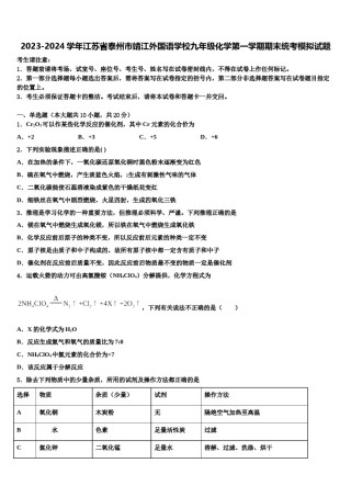 2023-2024学年江苏省泰州市靖江外国语学校九年级化学第一学期期末统考模拟试题含解析.doc