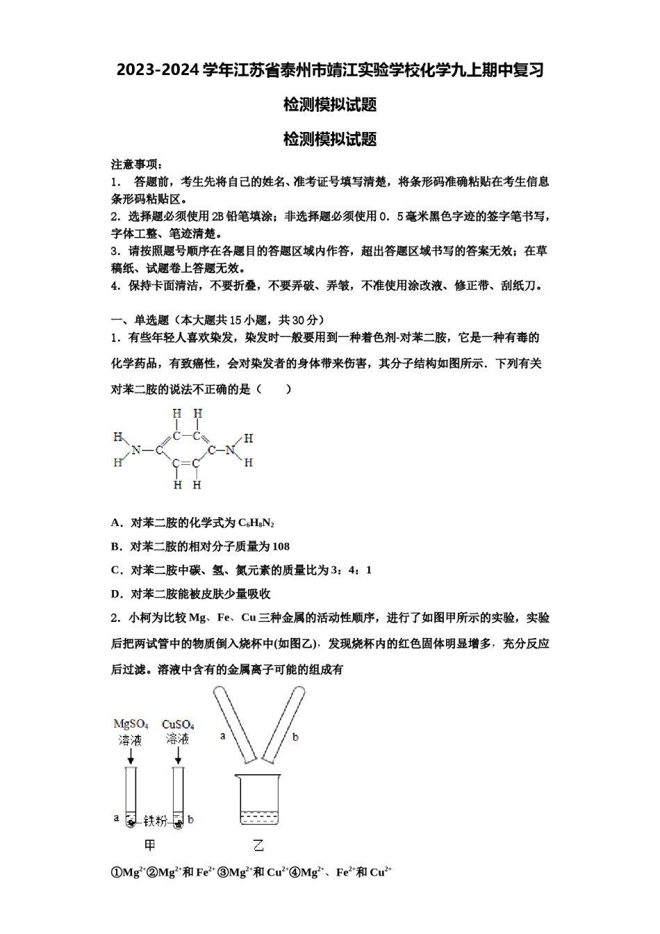 2023-2024学年江苏省泰州市靖江实验学校化学九上期中复习检测模拟试题含解析.doc_第1页