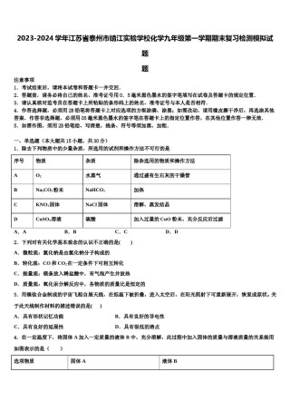 2023-2024学年江苏省泰州市靖江实验学校化学九年级第一学期期末复习检测模拟试题含解析.doc