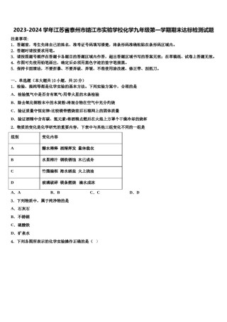 2023-2024学年江苏省泰州市靖江市实验学校化学九年级第一学期期末达标检测试题含解析.doc