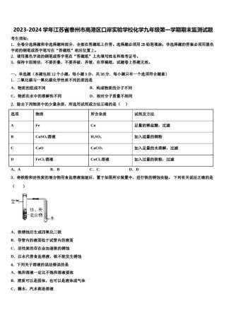 2023-2024学年江苏省泰州市高港区口岸实验学校化学九年级第一学期期末监测试题含解析.doc